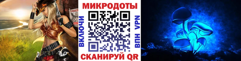 Купить  Котлас  Галлюциногенные грибы Psilocybe 